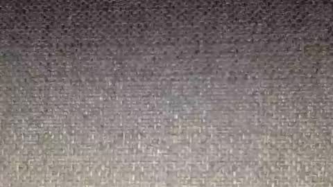 30nick online show from 02-16-26, 04:52