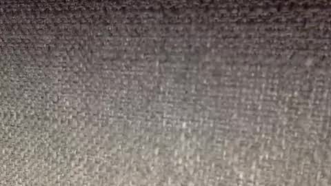 30nick online show from 04-19-26, 08:24