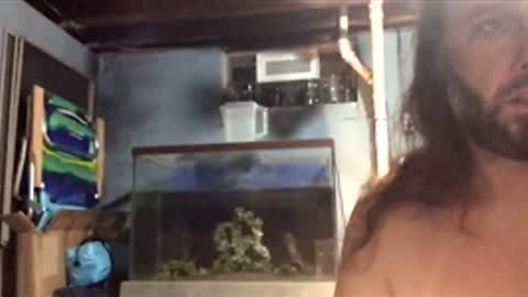 Snapshot of 33adidas chatting on 11-26-25, 08:48 33adidas online show from 11-26-25, 08:48