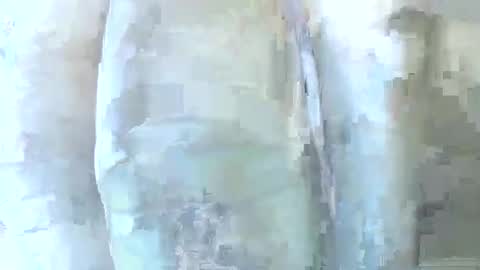 Daddy online show from 12-01-25, 06:24