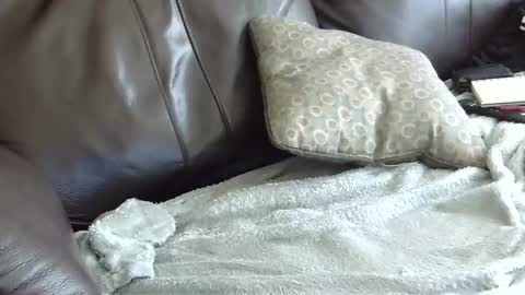 66bear online show from 01-31-25, 06:57