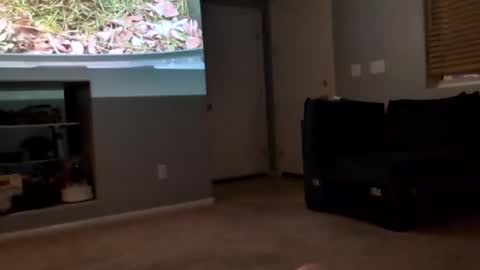 Snapshot of 69singledad79 chatting on 03-10-25, 04:17 69singledad79 online show from 03-10-25, 04:17