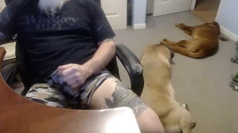 MASTIFF online show from 10-13-25, 05:02