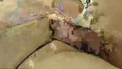 Snapshot of 8385 chatting on 03-03-25, 12:15 8385 online show from 03-03-25, 12:15