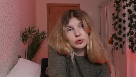 Alexa online show from 12-08-24, 07:47