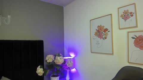 Snapshot of _aliice_1 chatting on 12-11-24, 07:46  Alice  online show from 12-11-24, 07:46