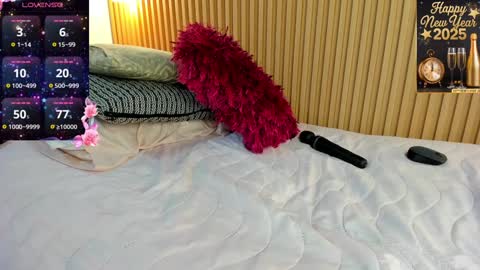 Snapshot of _anavictoria_ chatting on 12-28-24, 06:29 Ana Victoria online show from 12-28-24, 06:29