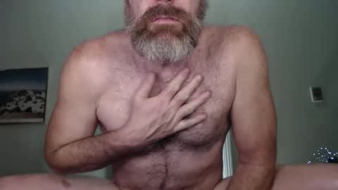 Snapshot of _bacchus chatting on 12-28-24, 03:37 Bacchus online show from 12-28-24, 03:37