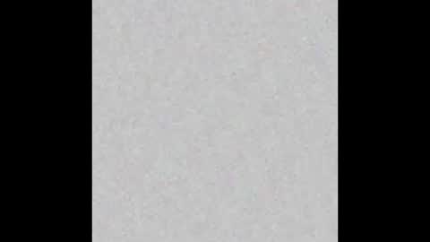 Brenda online show from 02-18-25, 12:28