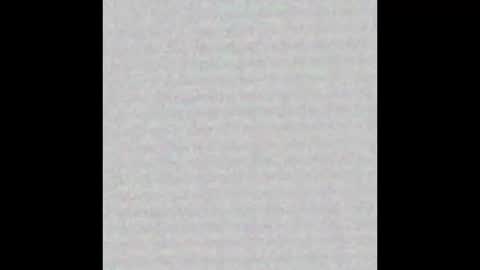 Brenda online show from 10-15-25, 11:43