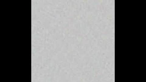 Brenda online show from 11-13-25, 11:42