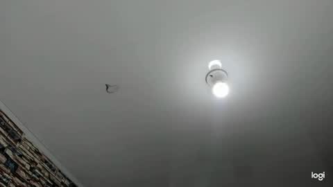 _casandra11 online show from 01-23-25, 09:39