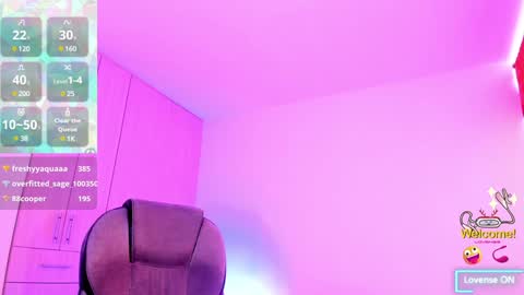 Snapshot of _devika chatting on 01-31-25, 04:17 _devika online show from 01-31-25, 04:17