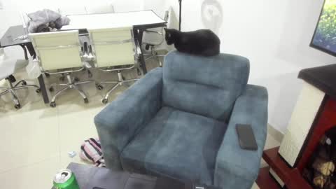 Emma online show from 01-17-25, 01:15