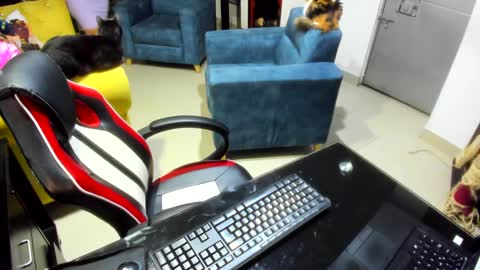 Emma online show from 02-07-25, 12:53