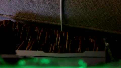 Rex online show from 02-06-26, 02:27