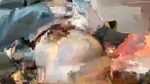 Snapshot of _ginger_boy chatting on 02-09-25, 10:20 Ginger boy online show from 02-09-25, 10:20