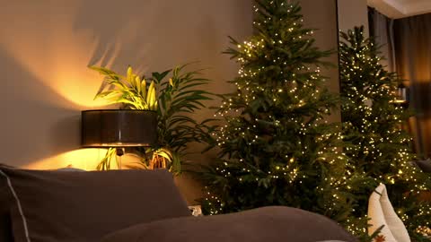 FANSLY ---   anal in private 700 tokens online show from 11-30-25, 06:12