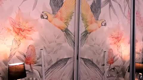 Lisa online show from 01-18-25, 09:55