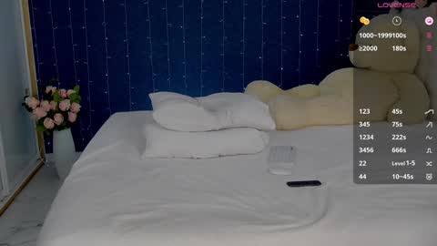 Snapshot of _mirror_girl chatting on 01-29-25, 03:12 Victoria online show from 01-29-25, 03:12