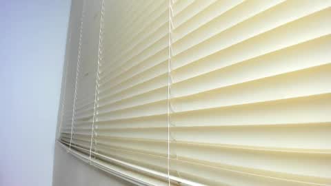 _molly_rosse_ online show from 11-12-25, 11:54