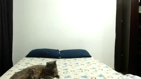 Snapshot of _sofiaparker_ chatting on 10-03-25, 04:37 Sofia Parker online show from 10-03-25, 04:37