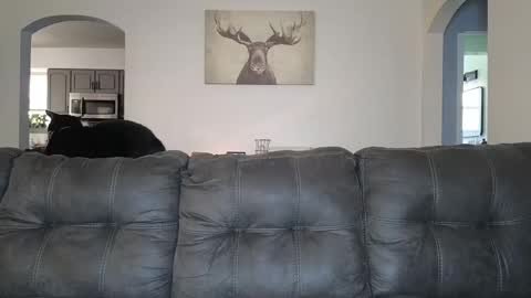 Snapshot of _sophia_grace_ chatting on 10-03-25, 04:37 SophiaGraceKnight online show from 10-03-25, 04:37