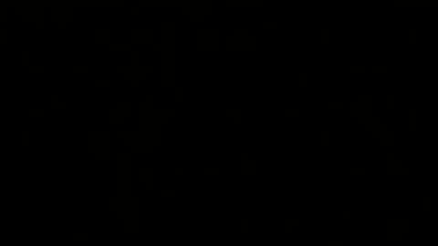 Melisa online show from 02-20-25, 02:46