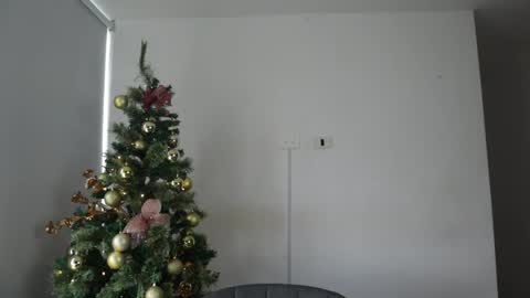 Anastasia Vahos online show from 12-30-24, 05:44