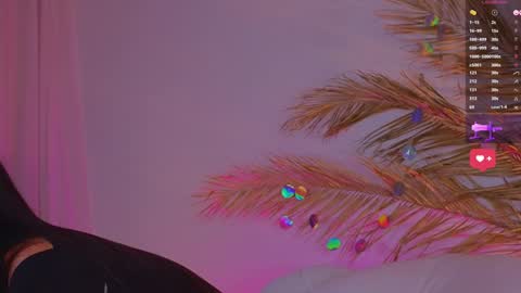 Ally online show from 01-24-25, 03:45