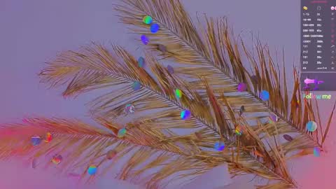 Ally online show from 03-06-25, 03:24