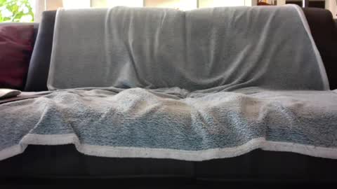 a_nice_dick_77 online show from 02-07-25, 10:08