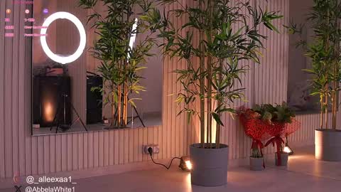 Alexa online show from 02-04-25, 06:25