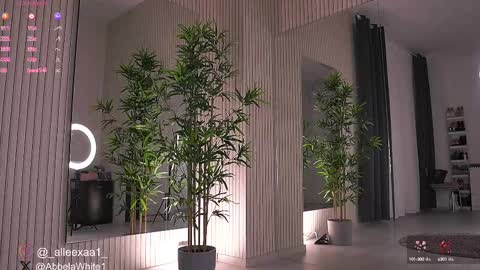 Alexa online show from 02-12-25, 06:29