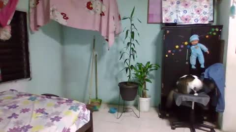 Snapshot of abbyasher chatting on 02-03-25, 12:36 Abby online show from 02-03-25, 12:36