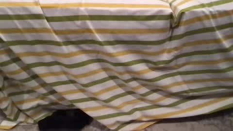 abe_froman2007 online show from 02-11-26, 07:24