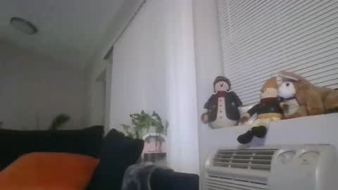 Snapshot of adamishere1 chatting on 03-01-26, 01:07 Britishadam online show from 03-01-26, 01:07