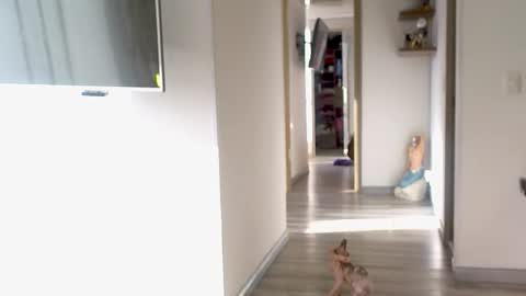 Snapshot of adan_eva960 chatting on 09-10-25, 12:16 eva online show from 09-10-25, 12:16