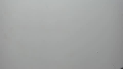 adbel sady online show from 02-10-25, 11:15