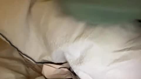 adriiiii online show from 01-24-25, 08:11