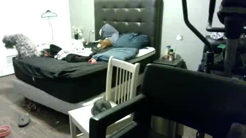 Snapshot of adventurecouple2641583 chatting on 01-18-25, 06:13 adventurecouple2641583 online show from 01-18-25, 06:13