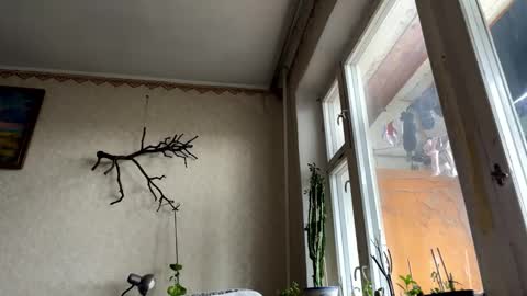 vegans taste better online show from 10-14-25, 06:14