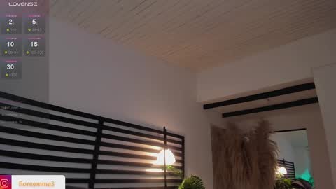 Emma online show from 12-29-24, 03:13