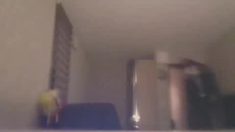 Snapshot of ahbehbi12 chatting on 03-10-25, 07:40 ahbehbi12 online show from 03-10-25, 07:40