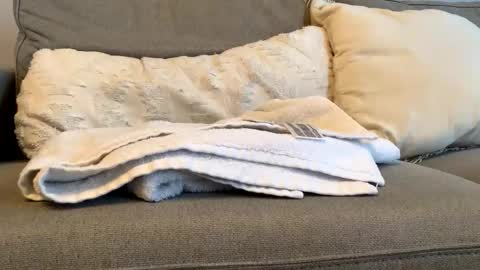 Snapshot of airmyles92 chatting on 11-06-25, 04:52 canadianboy92 online show from 11-06-25, 04:52