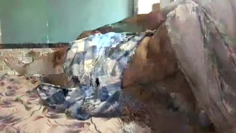 BigHairyGuy online show from 12-16-24, 06:32