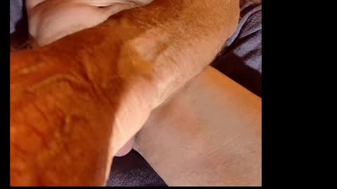 Snapshot of akiwi2 chatting on 12-20-24, 10:05 akiwi2 online show from 12-20-24, 10:05