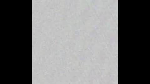 Al Fox  Miko Fortuni  online show from 01-12-25, 11:15