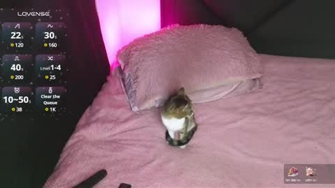 alahia online show from 01-15-25, 02:17