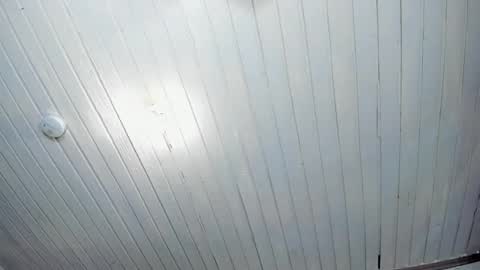 ---Alan--- online show from 02-24-25, 05:43